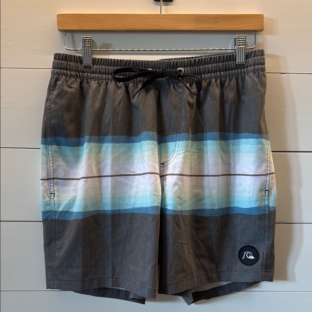 Quiksilver Men's Swim Shorts - Gray and Blue
